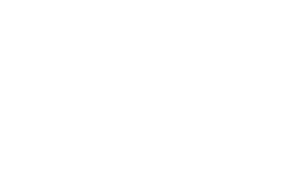 Monochromatic OUTER OUTAGE logo.png